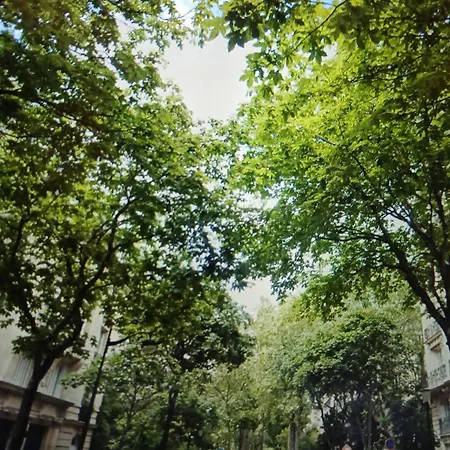 Appartement Grigorie Paris